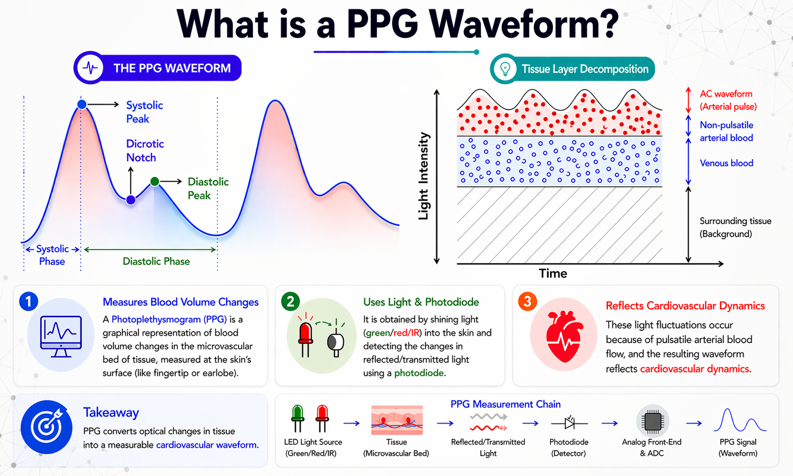PPG waveform